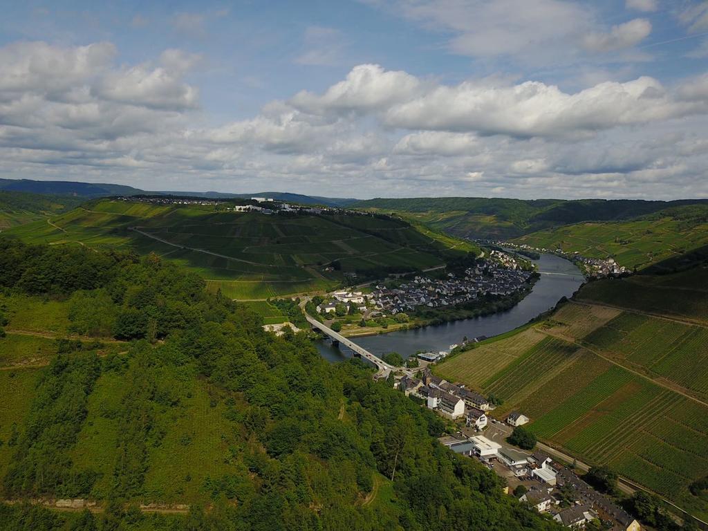 Отель Haus Gruenewald Целль-ан-дер-Мозель Экстерьер фото